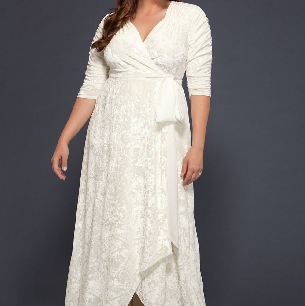 Kiyonna / David's Bridal Velvet wedding or special occasion dress